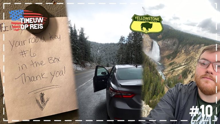 BEREN GESPOT, SNEEUW & goedkoop AMERIKAANS MOTEL | USA ROADTRIP #10